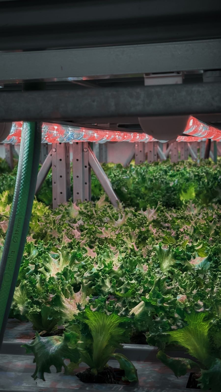 Smart agriculture field sensors